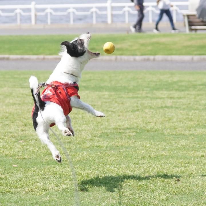 0a1d4287 34eb 45ec bf0d ed1eacc9bf3a 1655119454073