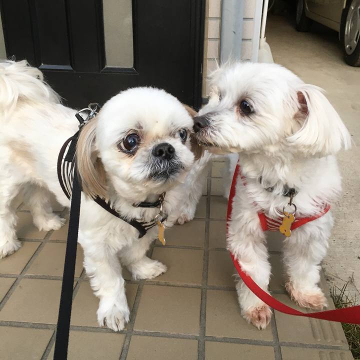 0a1d6b39 29d2 4be8 a542 116b15faabdd 1586865315831