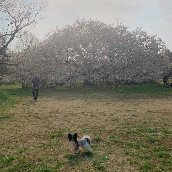 0a1d701c 88c1 4bff a274 be621047e81b 1554603268650