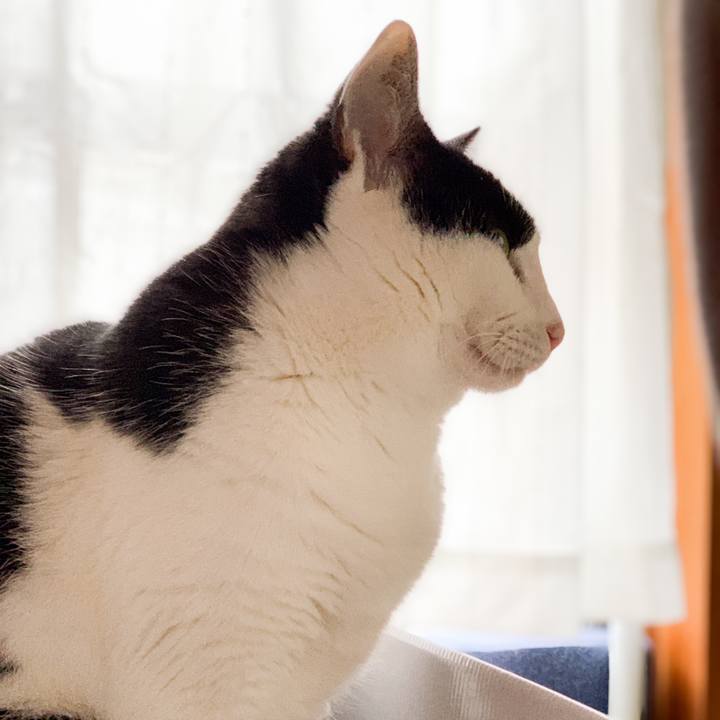 0a1dc7e7 05da 4b69 99d9 468483a53e73 1546135046433