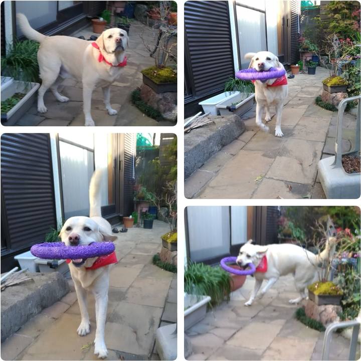 0a1dd8a0 c3c5 4ef0 883a 6144e4acbeee 1607053343378