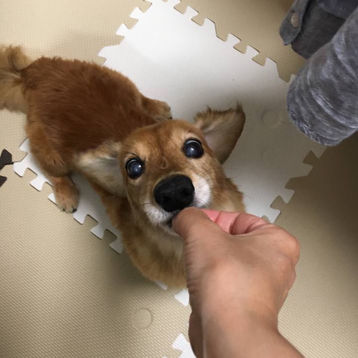 0a1e1712 7012 4333 943c 628e0b5b9880 1626354727303