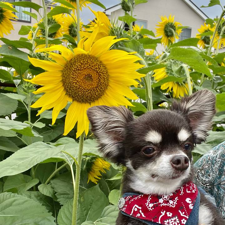 0a1e3fdb 97d1 405a a682 c5067f3cb915 1624766677370