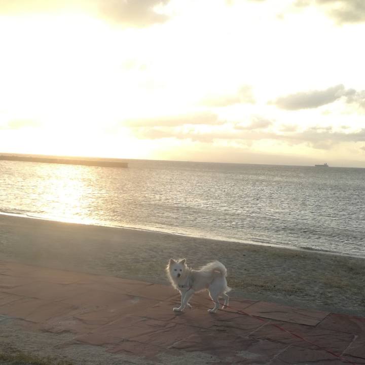 0a1e46bf 3393 45a3 9e4c 6b82a7937722 1512093370483