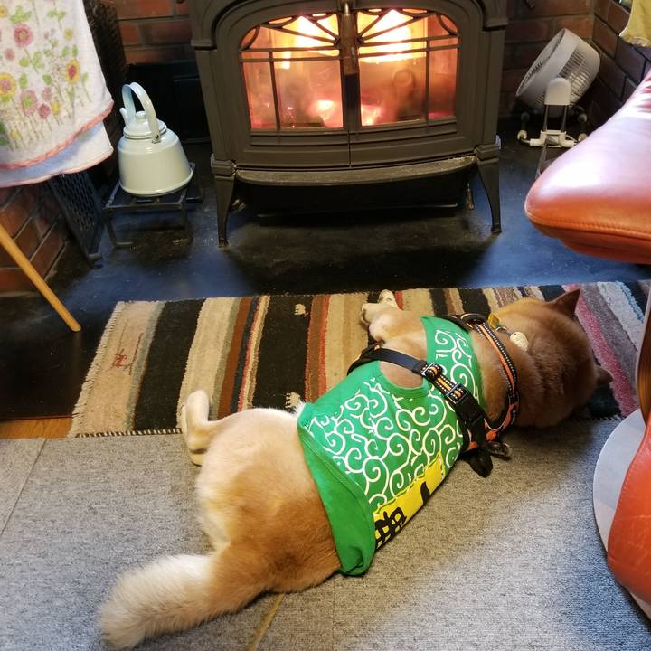 0a1e62b1 c6d9 404a 88fd d400626b8467 1584846408350