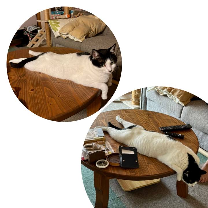 0a1e6d10 3f28 4668 ac33 6785f0b0cd98 1756515506778