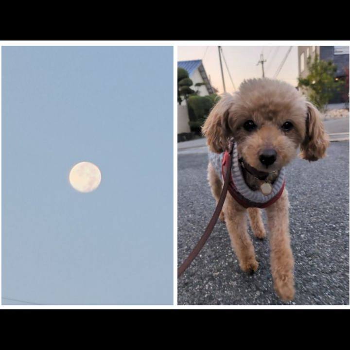 0a1e748f d1c8 4521 8c49 7be20addd46b 1762468511377