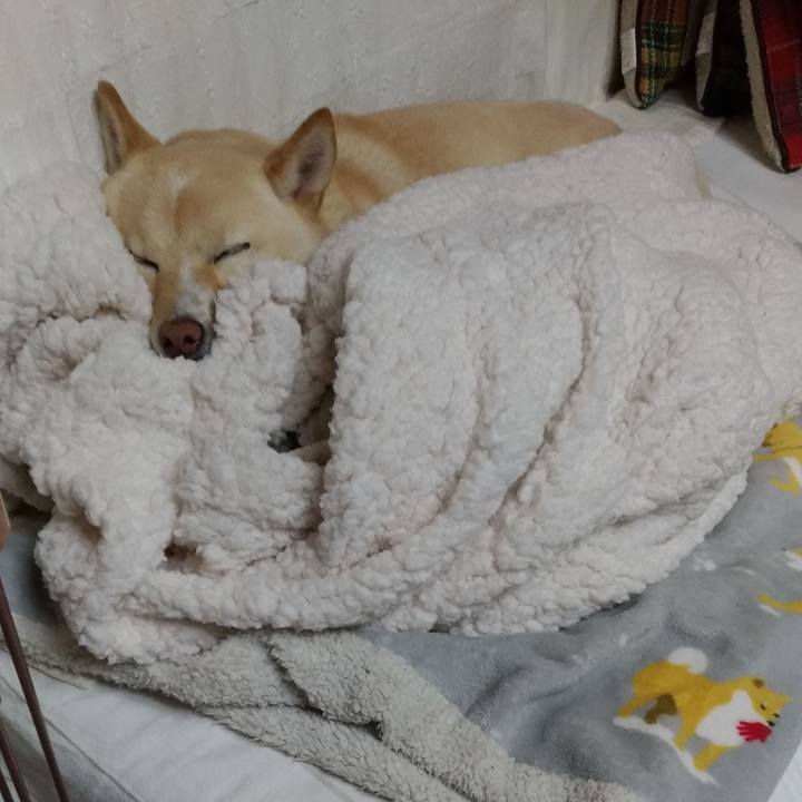 0a1eaa88 da72 4e14 b1d3 823fa88a3983 1610800548545