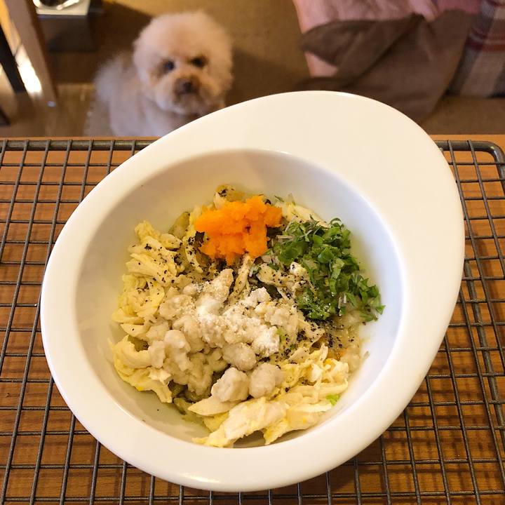 0a1ec1f8 a422 432b 9761 004fa82fcfb0 1526938803721