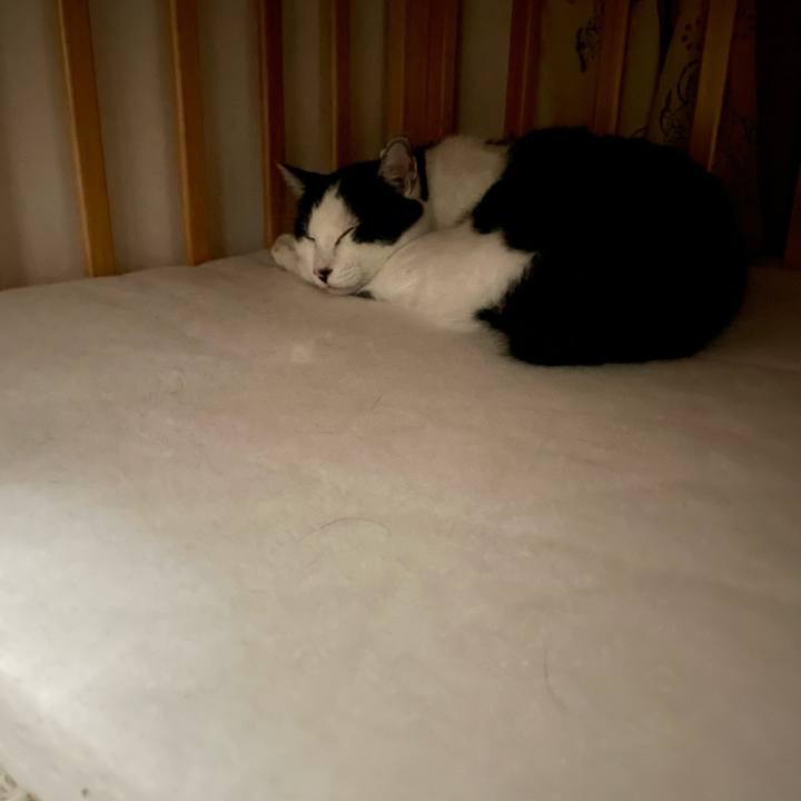 0a1f37d7 059b 4676 8eed 6b549fb4d7d8 1665642964253