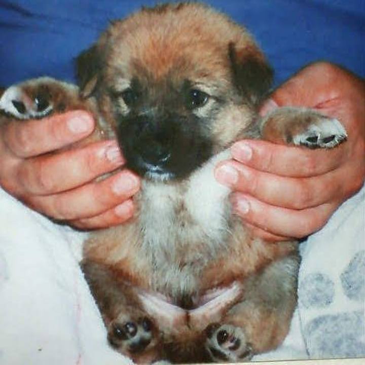 0a1f4655 5a9c 4cfd 863a 5022dfd341f3 1598834487824