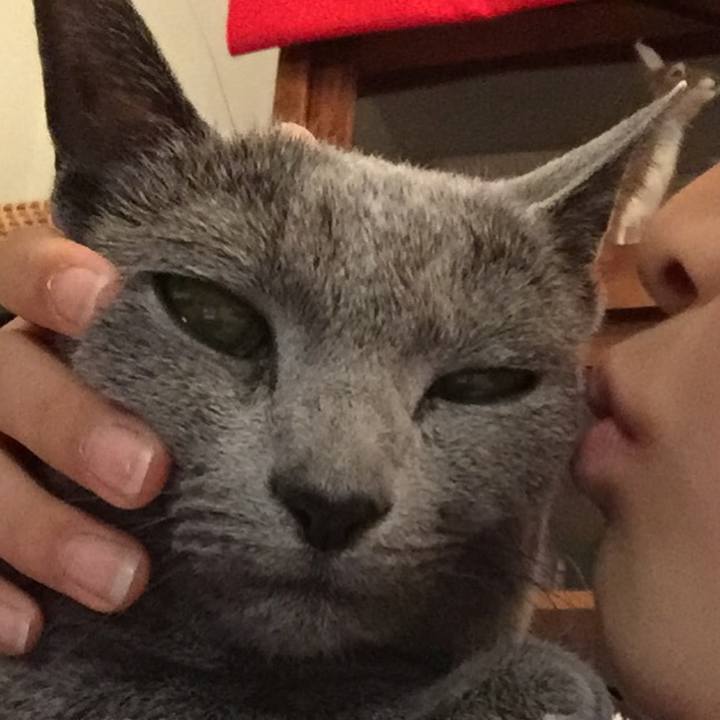 0a1f842d 7263 4c58 a077 172b9c2f7945 1550912897883