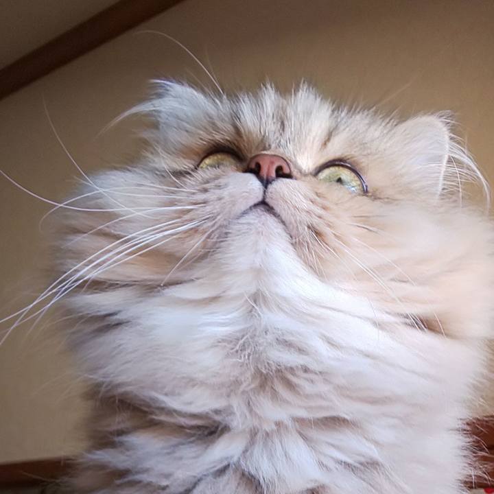 0a1fc51c e9c7 4790 bf9a 9f526c02f481 1634861040125