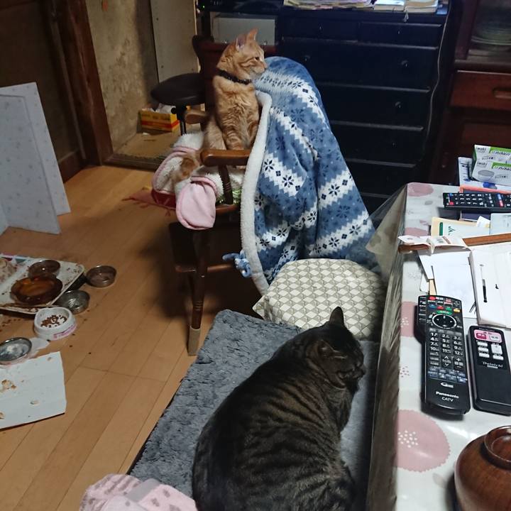 0a200e16 00e1 48ff beee de4835634925 1644663131316