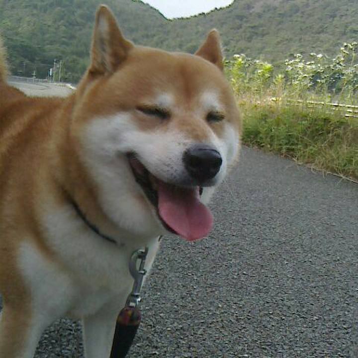 0a202c67 7072 4834 a734 5dfe9b71a36d 1530403975357