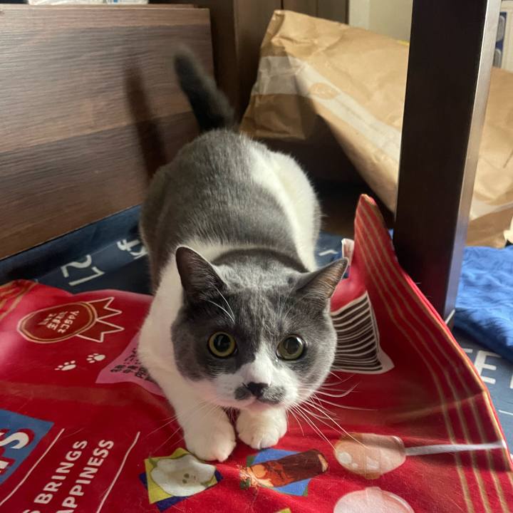 0a20396f 9c24 4d37 8d15 a2695d9c9218 1722314915122