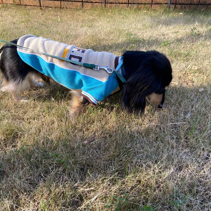 0a20481f 45da 4727 abfb da83b97019cb 1735286072160