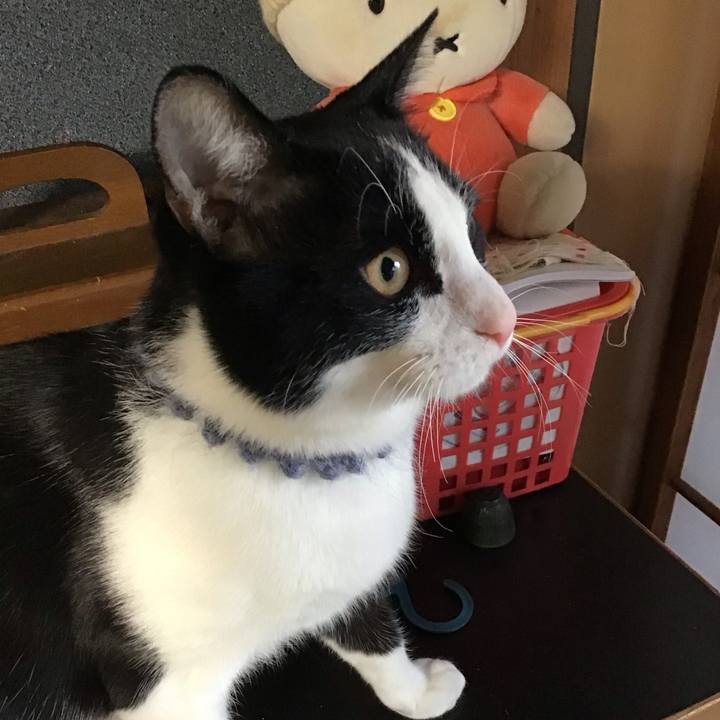 0a20485b 38e6 4a98 ab96 e91203ca8a35 1640816895704