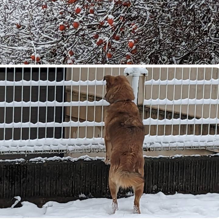 0a204b3c 70da 47f4 8ec2 e02486a9e628 1671371109045