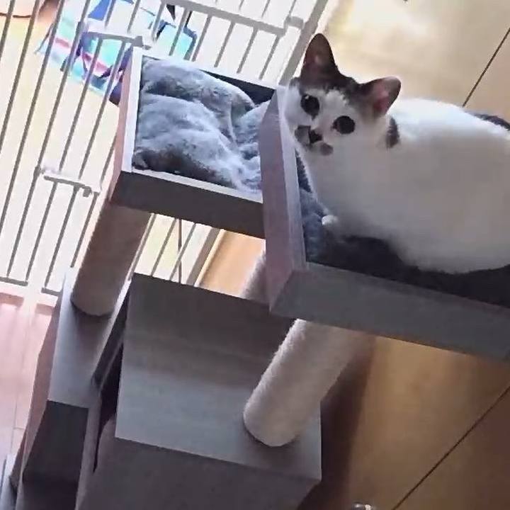 0a2071c9 5546 49ad 9f27 fdf502b38b41 1673276722085