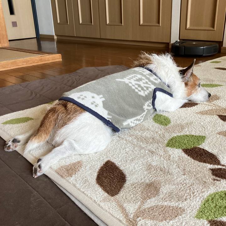 0a20730c 60c0 49cc ba0b 5edd644439e0 1732323434994