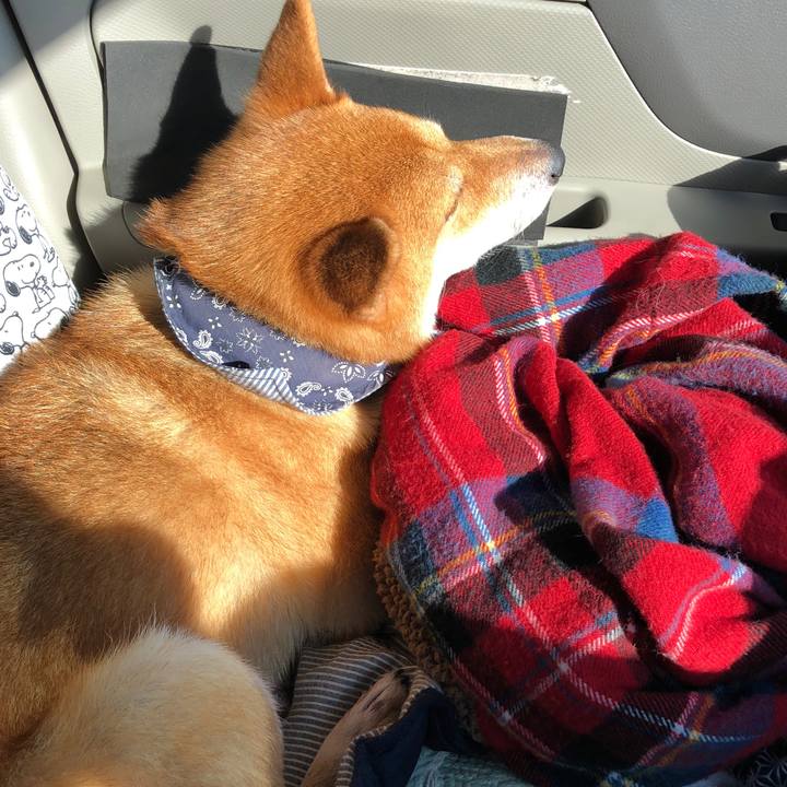 0a20b167 0495 4da1 976d c03d701c298d 1544083507053