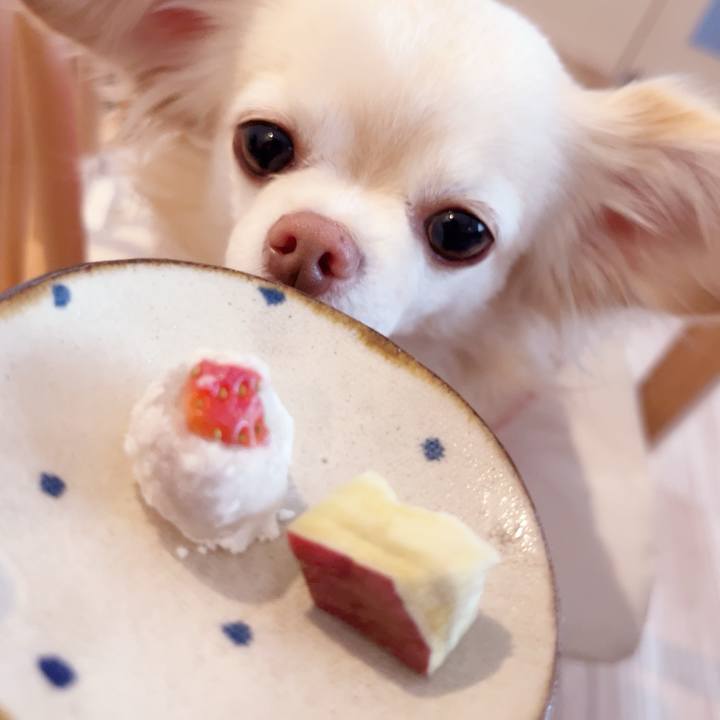 0a20b91d 928b 4f3d be09 d1092877ebb2 1738675430579