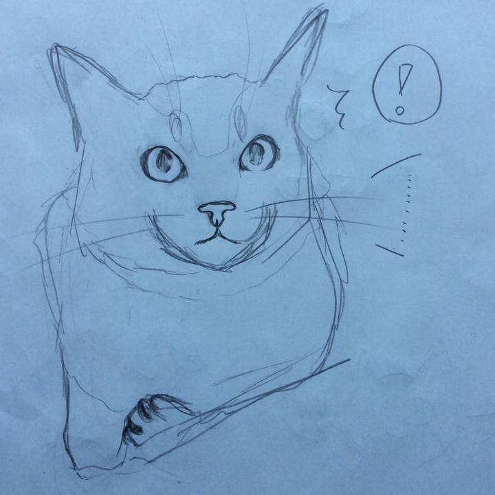 0a20ecf9 e96c 4f0d b159 4c96029e7d3b 1590639156808