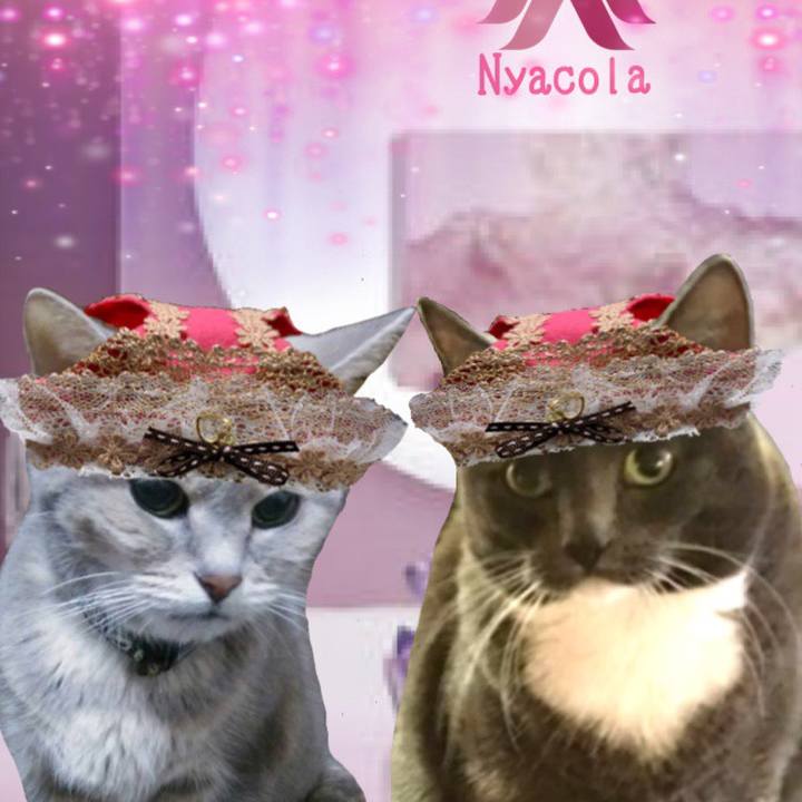 0a210147 f2cd 4823 a609 e07f7cd8dba7 1570186797498