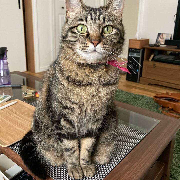 0a21559d 9346 4ce8 958a 398b39b57b85 1624350761937