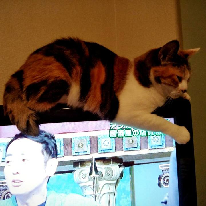 0a219fd2 6d7a 44f3 928b 9513374d0714 1566906603845