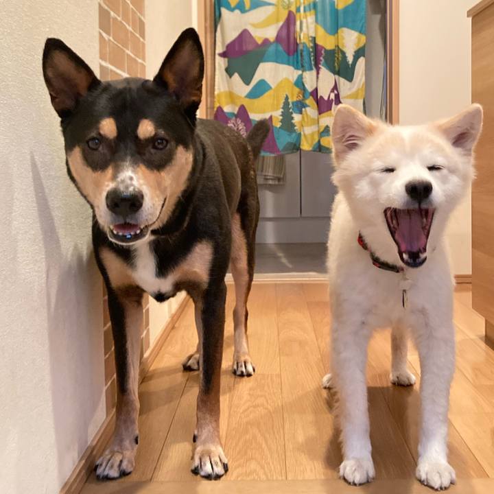 0a21d509 b648 44d5 a7c8 0d0d4425ad5f 1664010208688