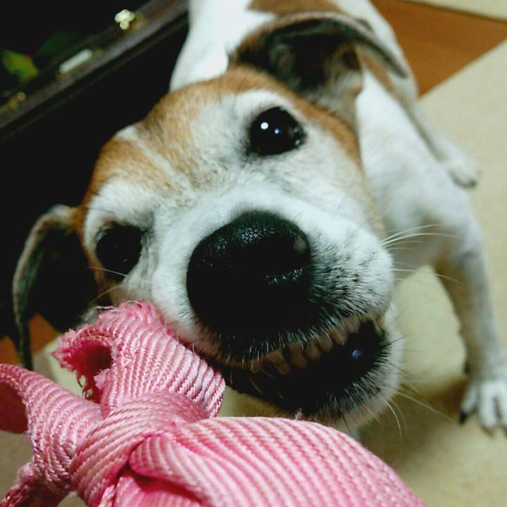 0a21d85d d786 47b8 9d80 073d29e830de 1508052960905