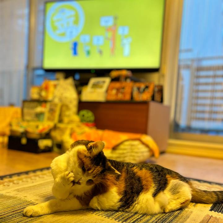 0a21e126 a8fd 4391 a673 777209d16b17 1700172183649