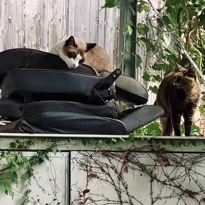 0a21e16b 9076 48d0 b54a 988b053163bb 1729917717547