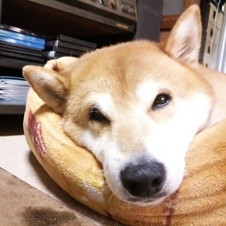 0a21f7df c35e 451d 8619 1993ad641c82 1571186429860