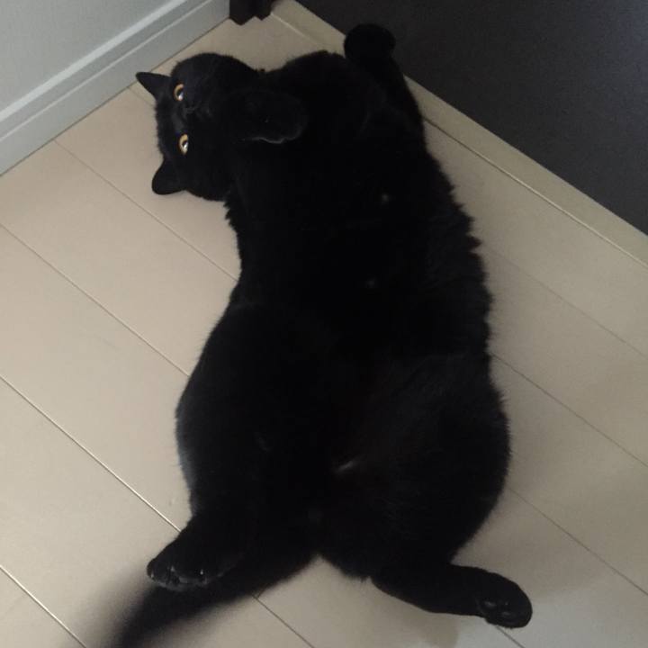 0a220f16 bc18 4534 b8c6 b17c0728cc07 1589976066449