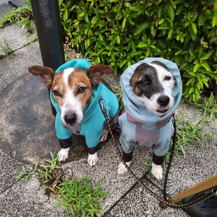 0a225daf f869 4e02 ad0c 90739919c811 1750889387989