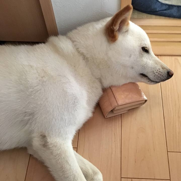 0a229ea8 a373 43cc 9867 7156cf59149c 1528888410509