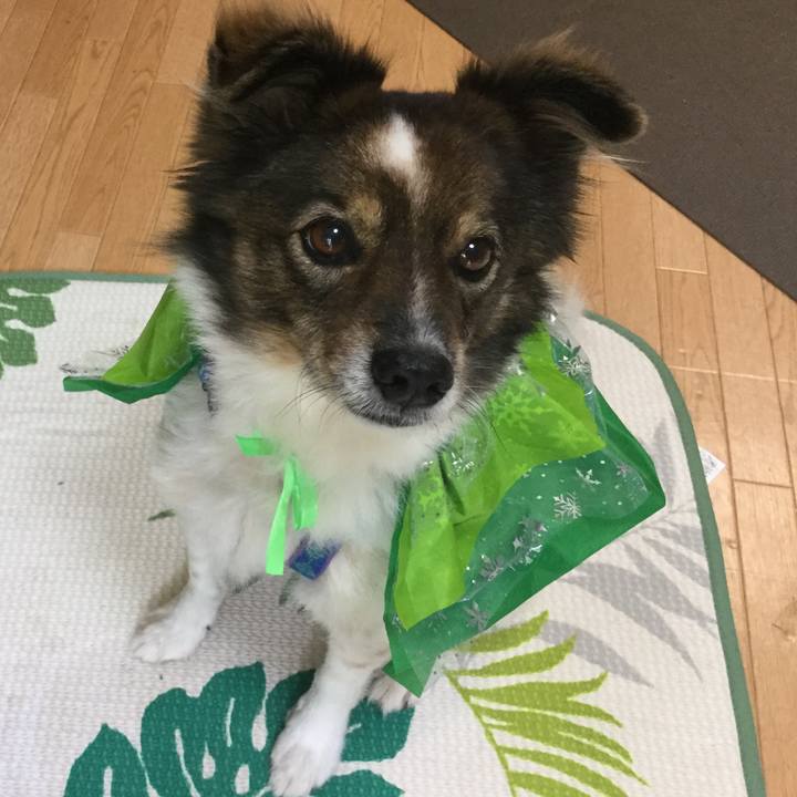 0a22bf76 98f3 449a 80b1 8d8e39bb1c0f 1542875323209