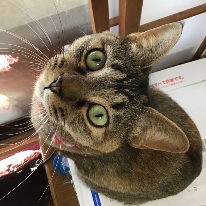 0a230e85 aa87 4627 9f3b 18db44d6f8fc 1608615302951