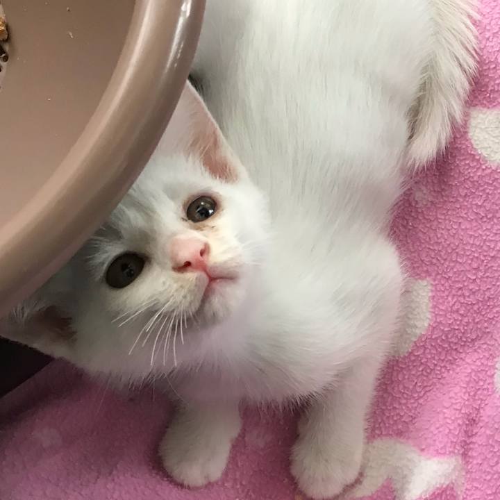 0a2342fd 4f6f 412c bc25 a0bbed99b210 1564575725647