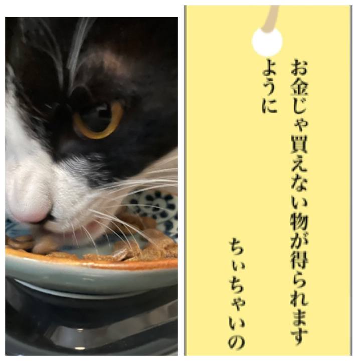 0a234c2b 08bc 4bf7 922c a643fd9a7672 1688635698192