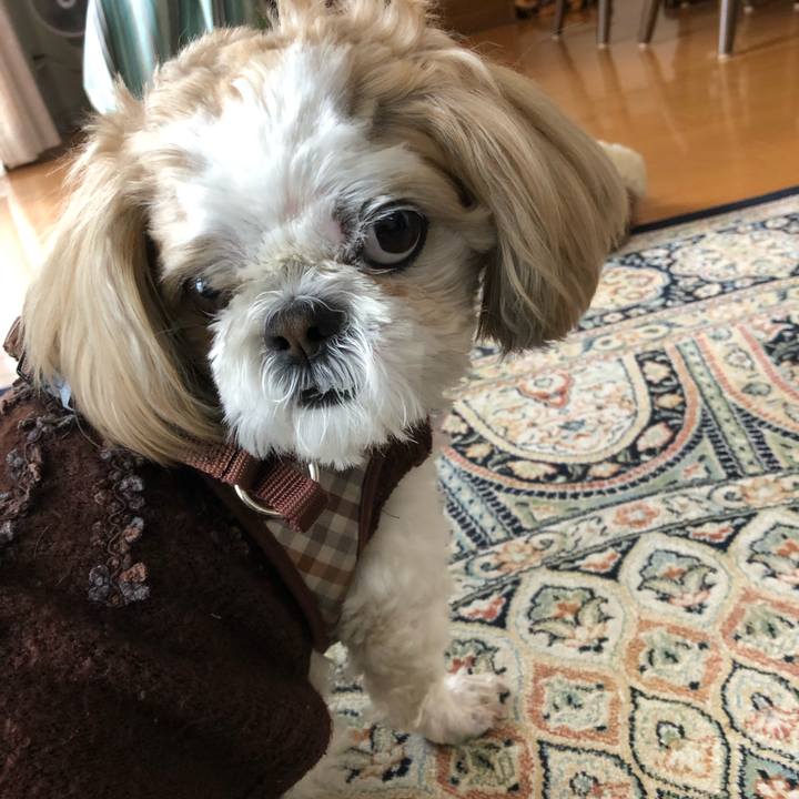 0a239ac5 f73a 47db 815d b28d81694540 1554328232874