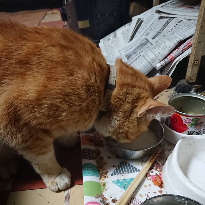 0a23bb2d d75f 45d2 9e8c ab5b08ad9adb 1590782216103