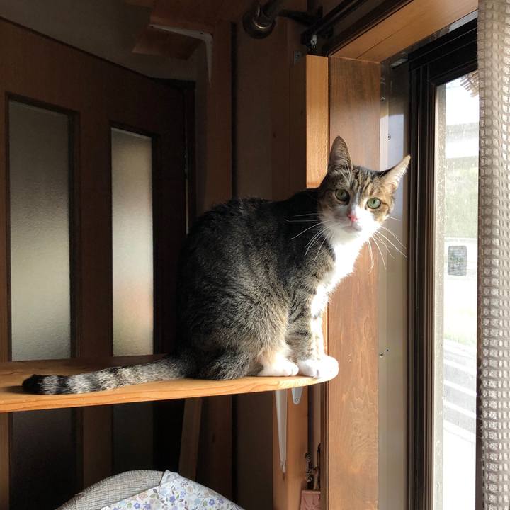 0a23c2b5 8572 4523 a2b9 b86f26bf3036 1681941897546