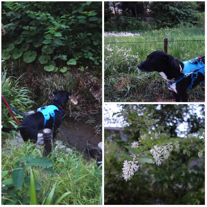 0a2407e1 0b26 4501 8e8e cef55de9baea 1620558611002