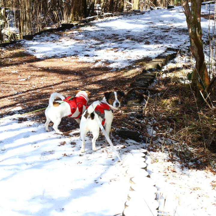 0a2440b1 caf6 4c39 aab7 bc2e22c55e45 1552112298409