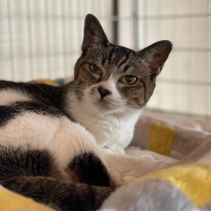 0a24608f 453b 40c1 8c54 8f49723b32ab 1659235256177