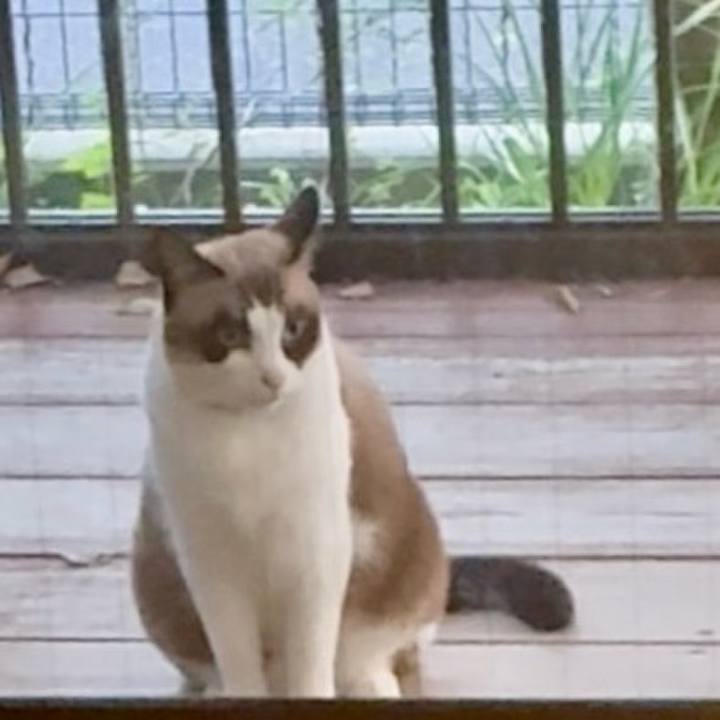 0a247e6f e455 4aaa 952c 3b9464bebcc7 1760523619632